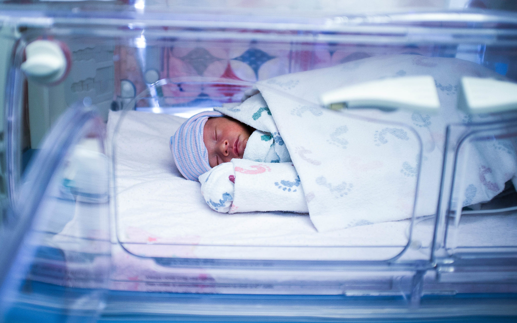 Premature biracial baby in hospital incubator