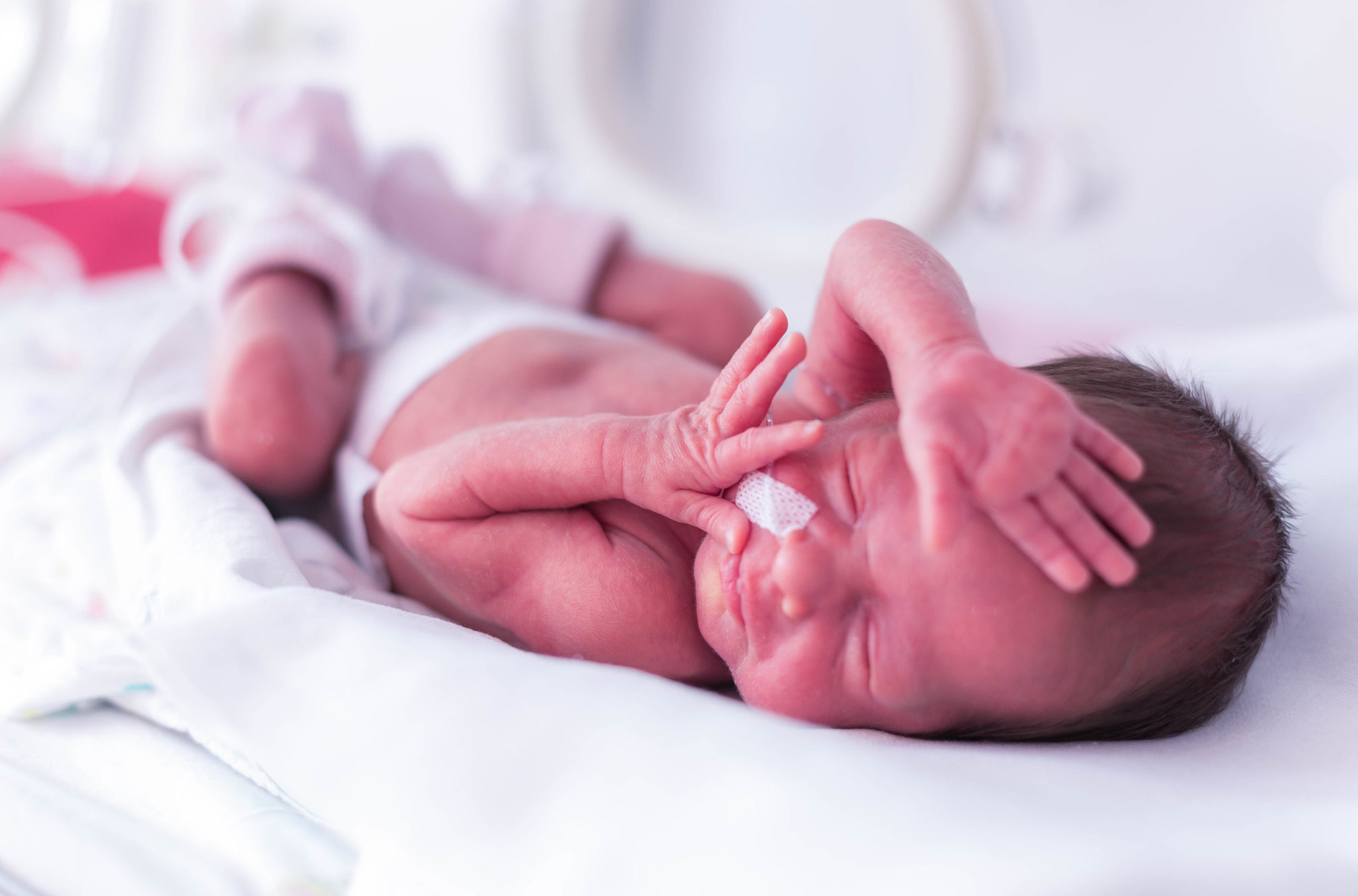 Premature newborn baby girl