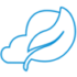 icon box image